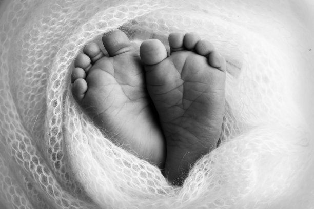 新生儿柔软的脚在羊毛毯子近距离的脚趾，脚跟和一个婴儿的脚。新生儿的小脚。婴儿脚覆盖孤立的背景。黑白工作室微距摄影。图片下载