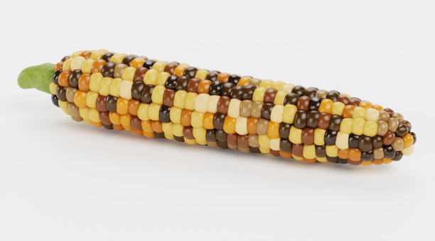 逼真的玉米3D渲染图片下载