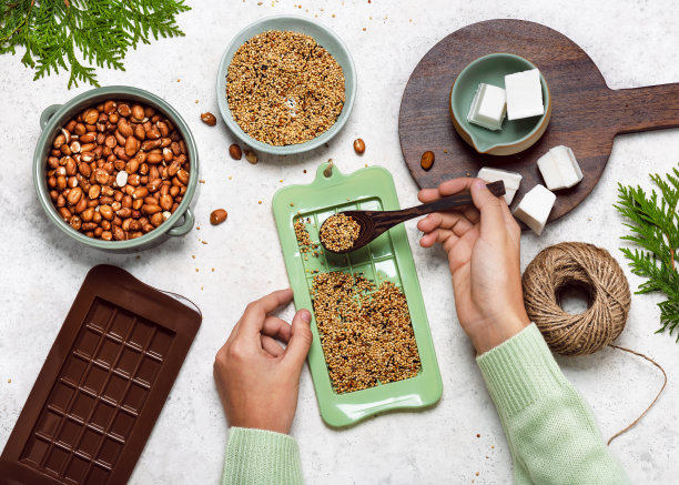 一步一步的简单自制喂鸟器的巧克力棒形式的食谱。孩子们制作和帮助野生动物的概念。图片下载