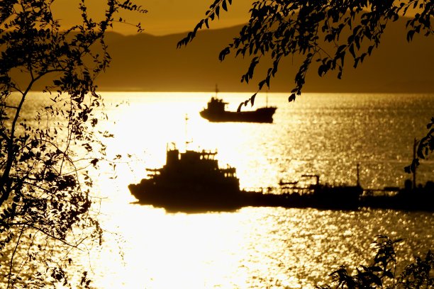 前景中树木和树枝的剪影，背景中工业船只在夕阳的金色光线下。大海上金色的日落，前景是树木和树叶。图片下载