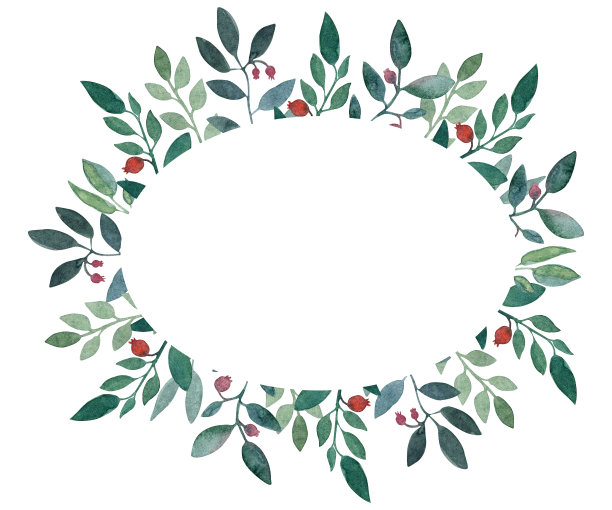 水彩手绘椭圆形框架与深绿色的叶子和红色的浆果。非常适合用于邀请和卡片。图片下载
