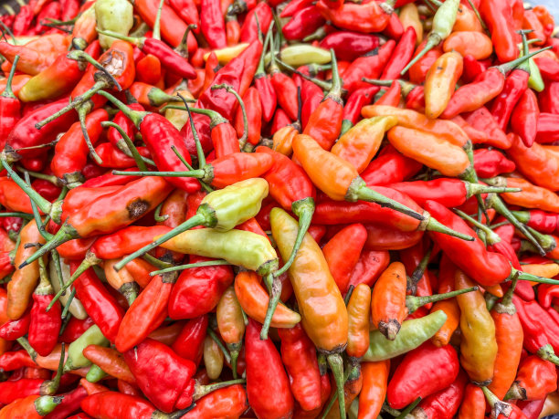 红辣椒图片下载