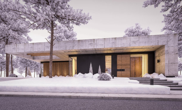 三维渲染的新混凝土房子在冬季晚上的现代风格图片下载