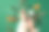 第一人称俯视图照片的女孩在毛衣使用护手霜从小罐子松果干橘子片肉桂棒八角雪花和云杉树枝在雪孤立的绿色背景图片下载