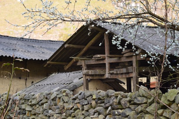 越南河江的风景照片图片下载
