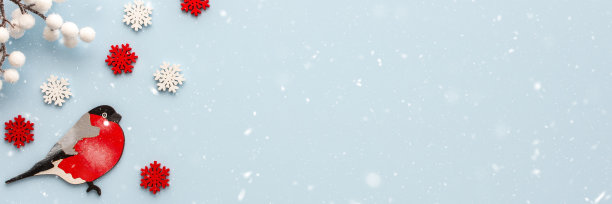 带着白色和红色雪花的红腹灰雀图片下载