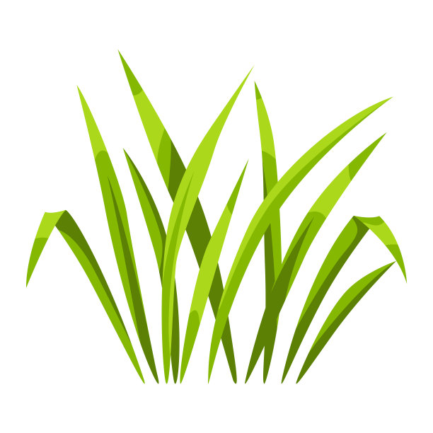 一束绿草的插图。美丽的夏日草坪装饰。图片下载