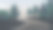 阴郁的现实主义水平插图的道路通过树木。图片下载