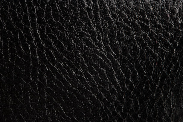 女式时尚细节包由黑色真皮制成，背包，隔离图片下载