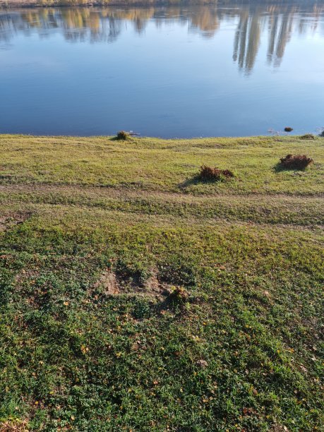 河岸上有水面的倒影。阳光明媚的一天。图片下载