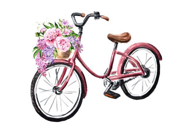 自行车，篮子，花束。手绘水彩插图，孤立的白色背景图片下载