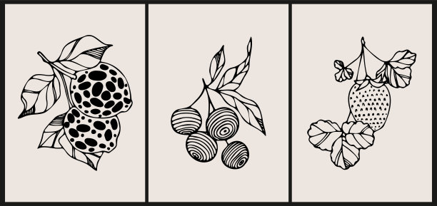 极简抽象的背景与蓝莓，柠檬，草莓。图片下载