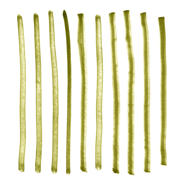 画水彩绿色条。手绘元素孤立在白色上。图片下载