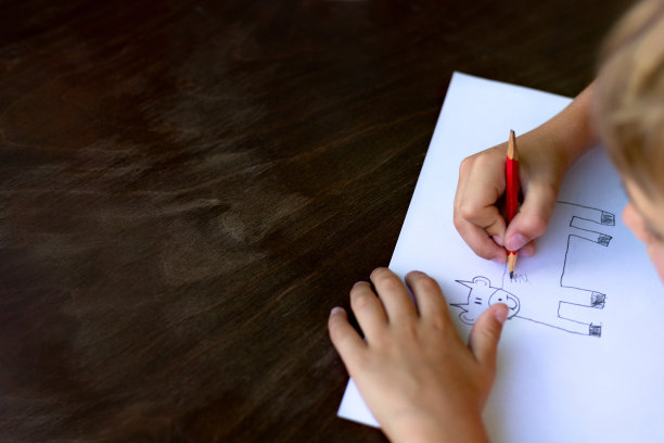 一个男孩用铅笔在纸上画了一头牛。手的特写镜头。本空间图片下载