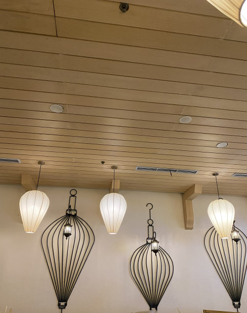 餐厅天花板装饰用灯图片下载