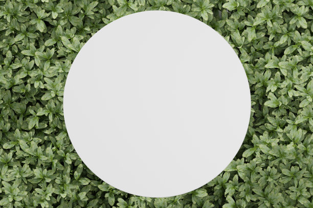 空讲台空白产品货架站立背景。图片下载