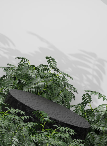 空讲台空白产品货架站立背景白色背景。图片下载