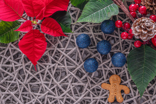 节日卡片-红色的一品红花，冷杉圆锥，圣诞装饰柳条稻草灰色背景。平铺，俯视图，复制空间图片下载