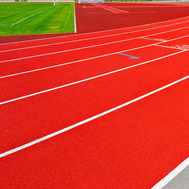 体育场图片下载