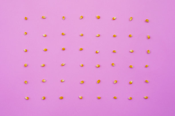 粉色背景上的仙人掌图片下载