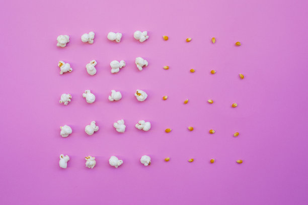 粉色背景上的仙人掌图片下载