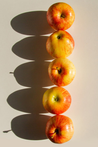 一排苹果:一排苹果苹果是黄红色的。硬光。图片下载