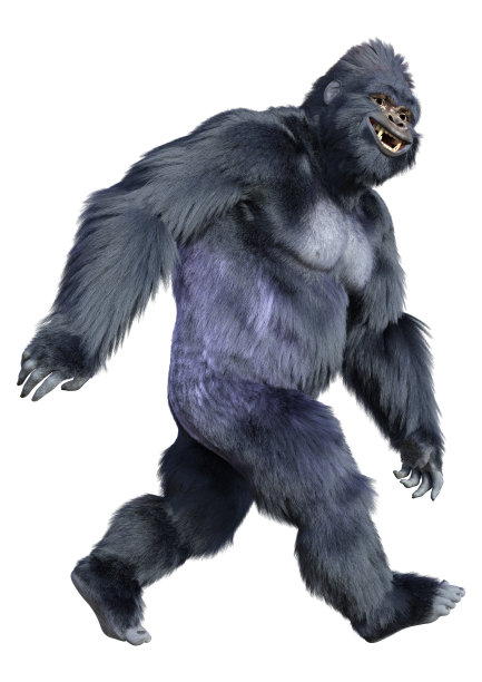 三维渲染黑色大猩猩猿在白色图片下载