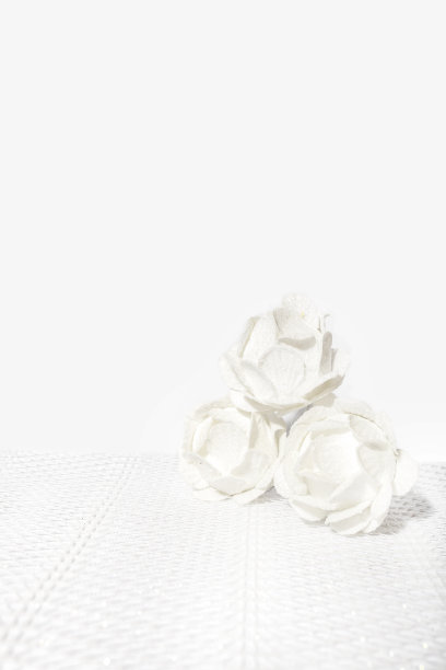 白色背景上的白色装饰花。抽象艺术图片下载