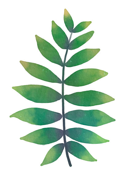 水彩风格的绿叶与纸纹理插图图片下载