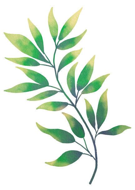 水彩风格的绿叶与纸纹理插图图片下载
