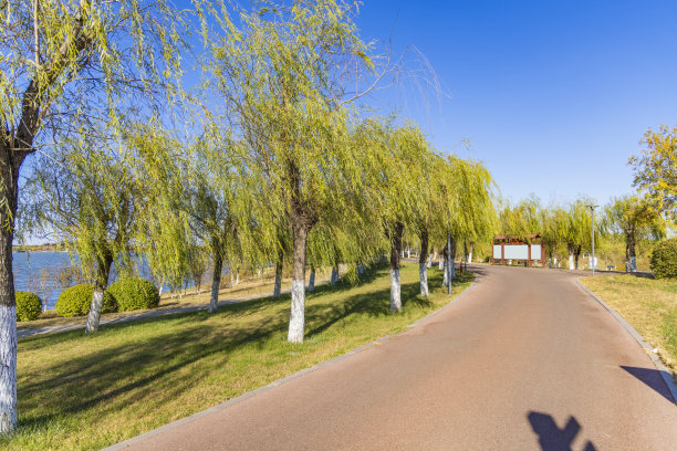 秋天公园景观图片下载