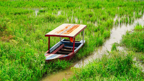 湖边草地上被遗弃的小船图片下载