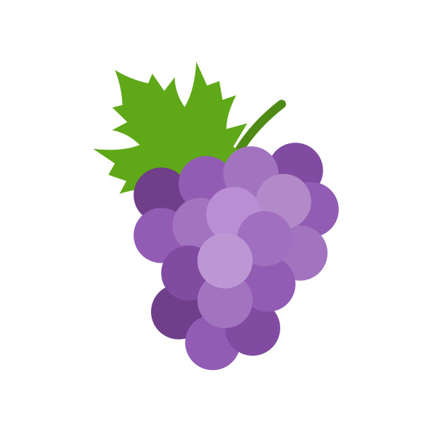 葡萄图标。一串带茎和叶的紫色葡萄。图片下载