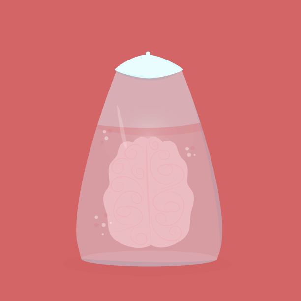 用于移植的人脑图片下载