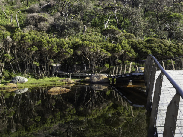河上木桥图片下载
