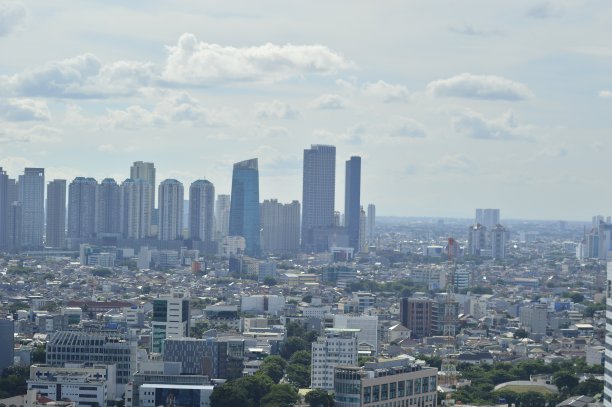 白天雅加达市的天空视图和建筑物图片下载