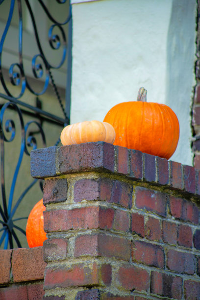 秋天前门廊或露台上的南瓜作为万圣节的装饰或秋天傍晚的阴凉处图片下载