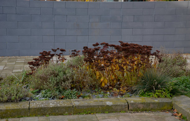 一个混凝土块栅栏围住了院子。深灰色的墙的前景是一个抢劫的多年生床。墙上有洞，网格上有洞。棋盘图案是一种装饰性的细节，就像一个槽图片下载