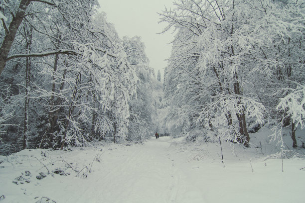 滑雪者被冬季仙境包围的风景照片图片下载