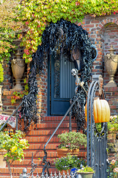 在旧金山的房子或家庭上涂有黑色的前门，装饰红砖楼梯和黑色扶手图片下载