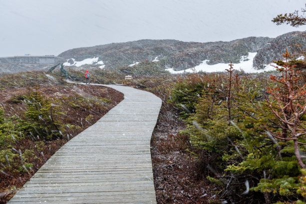 L'Anse aux Meadows国家历史遗址，纽芬兰和拉布拉多，加拿大图片下载