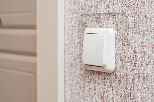 单灯开关在墙上贴着墙纸。图片下载