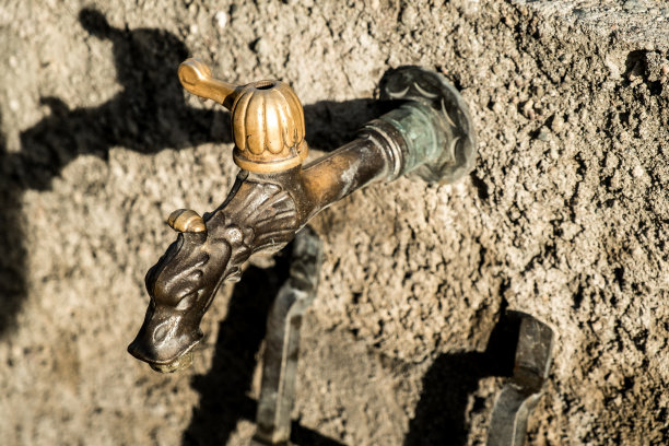 动物头像的古董水龙头图片下载