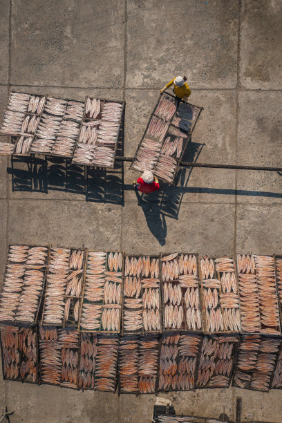 晒鱼干和鱿鱼干图片下载