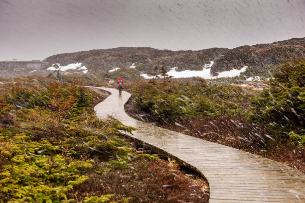 L'Anse aux Meadows国家历史遗址，纽芬兰和拉布拉多，加拿大图片下载