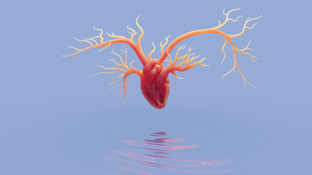 敞开的心和宽阔的静脉，蓝色背景上的概念图片下载