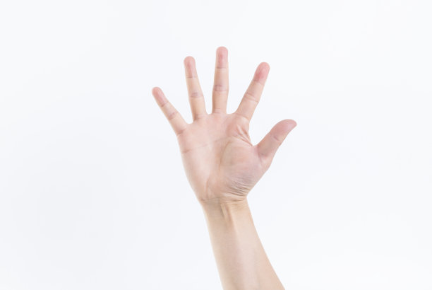 一只手的各种手势图片下载