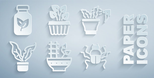 在花盆中放置植物，喷洒植物甲虫图片下载