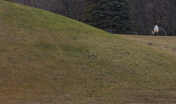 一个大土堆旁边的室外篮球架图片下载