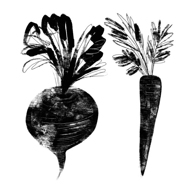 用垃圾风格的胡萝卜和甜菜做插图图片下载
